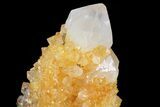 Sunshine Cactus Quartz Crystal - South Africa #80193-2